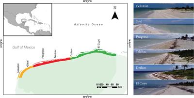 Sandy Beach Macrofauna of Yucatán State (Mexico) and Oil Industry Development in the Gulf of Mexico: First Approach for Detecting Environmental Impacts